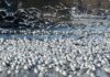Jak sprawdzić wysokość działki? Jak sprawdzić wysokość działki?