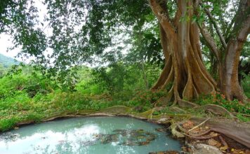 Czy szambo betonowe może wypłynąć?